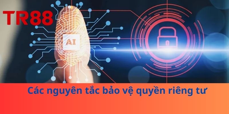 Các nguyên tắc bảo vệ quyền riêng tư