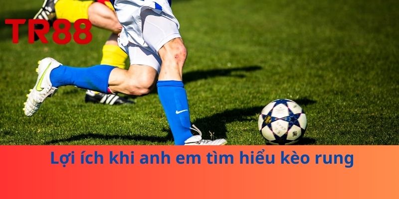 Lợi ích khi anh em tìm hiểu kèo rung 