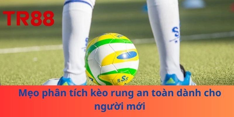 Mẹo phân tích kèo rung an toàn dành cho người mới